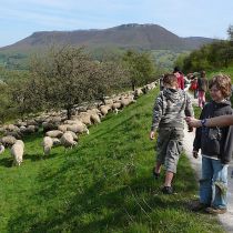 jugendhuette 2008 20181026