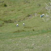 jugendhuette 2008 20181026