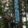 kletterwald 2019 20191119