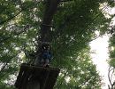 kletterwald 2019 20191119