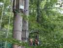 kletterwald 2019 20191119