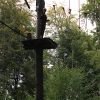 kletterwald 2019 20191119