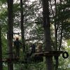 kletterwald 2019 20191119