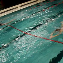 vereinsmeisterschaften 2004 20181018